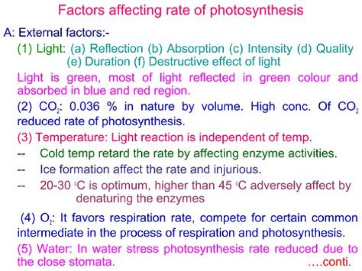 what are the 4 factors that affect photosynthesis