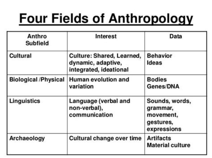 what are the 4 fields of anthropology