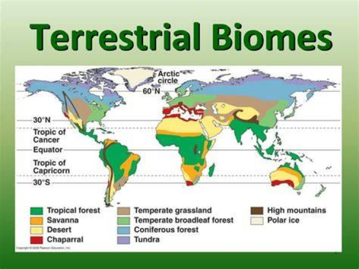 what are the 6 major terrestrial biomes