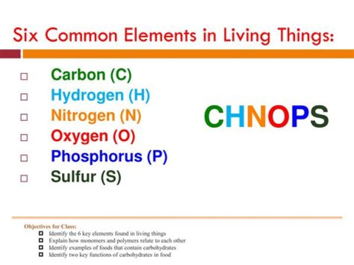 what are the 6 most common elements in living things