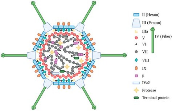 what are the basic components of a cell
