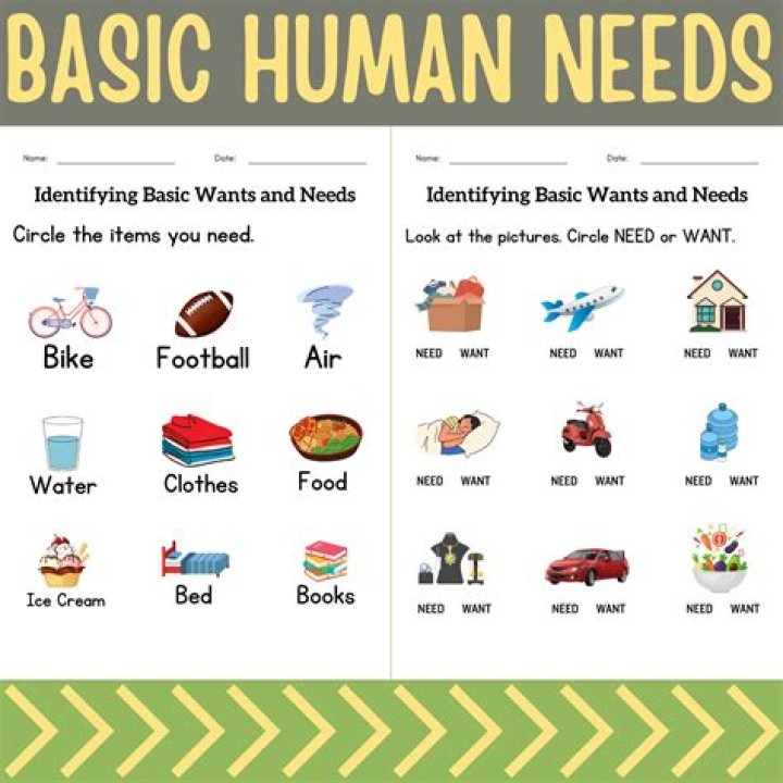 what are the basic needs of cells