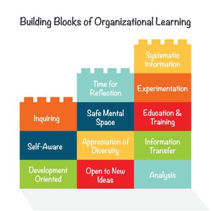 what are the building blocks of fat