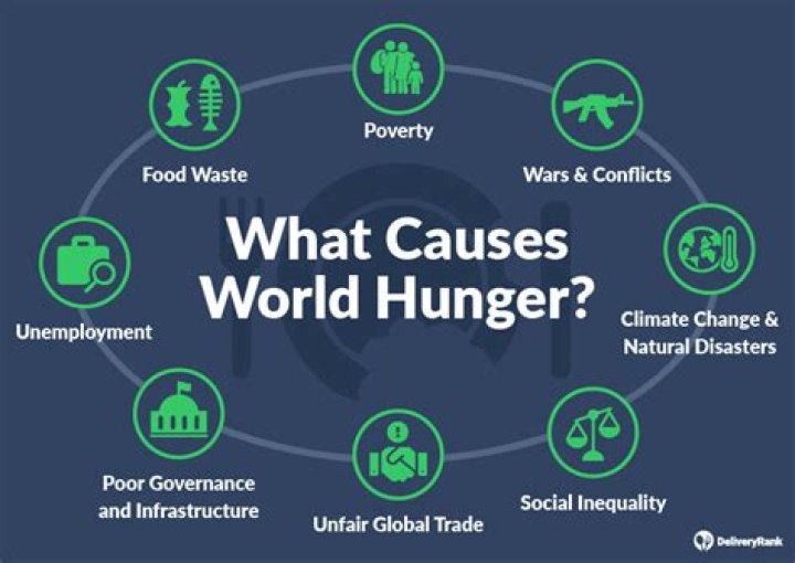 what are the causes of world hunger