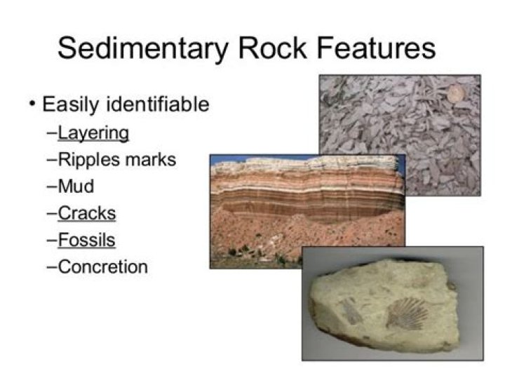 what are the characteristics of sedimentary rocks