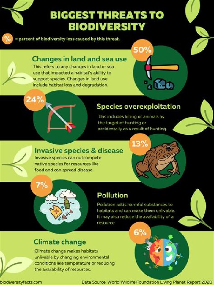 what are the current threats to biodiversity