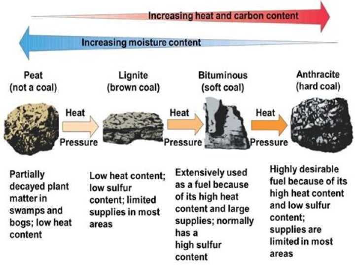 what are the different types of coal