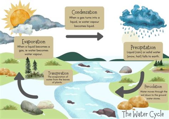 what are the five steps of the water cycle