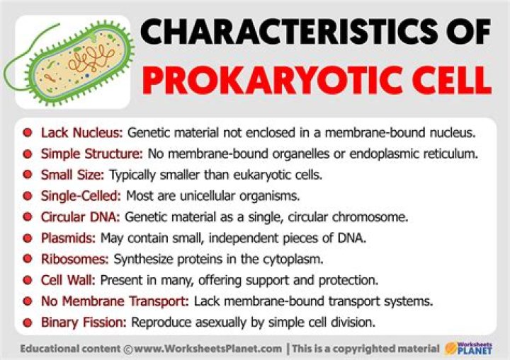 what are the main characteristics of cells
