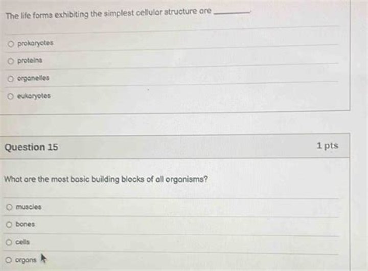 what are the most basic building blocks of all organisms?