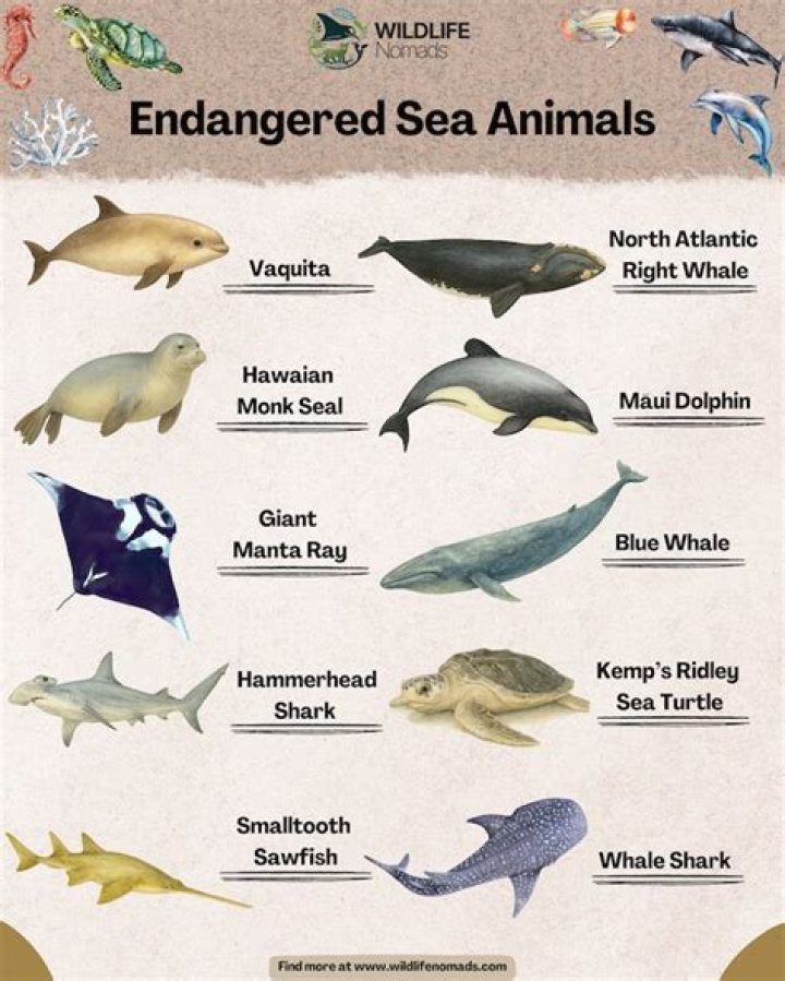 what are the most endangered aquatic areas?