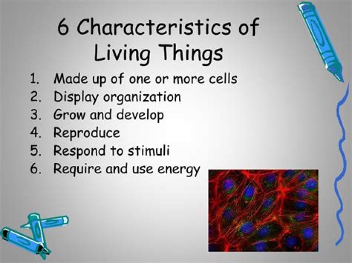 what are the six characteristics of living things