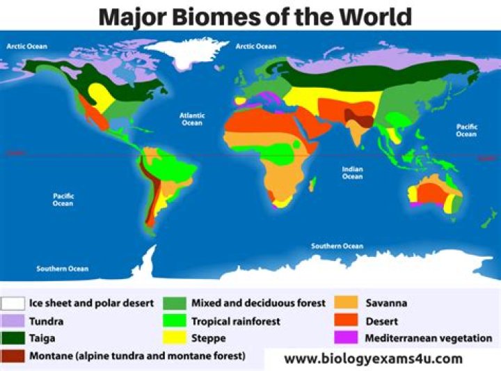 what are the six major biomes found on earth