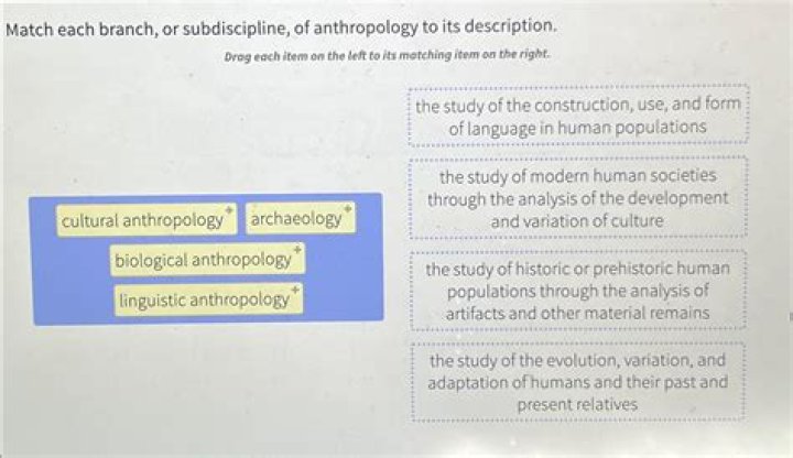 what are the subdisciplines of anthropology