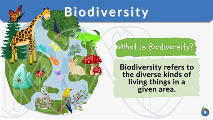 what are the three main levels of biodiversity?
