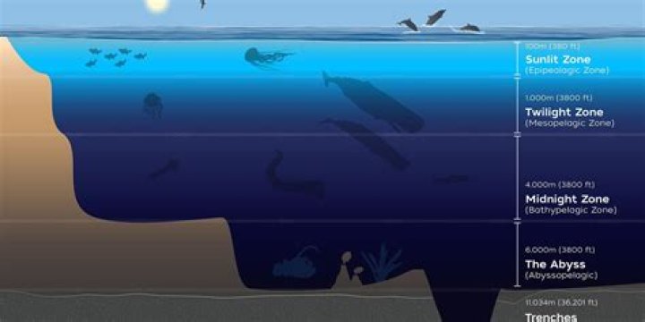what are the three main zones of the open ocean