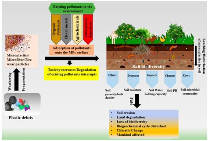 what are three solutions to the environmental challenges of mesopotamia