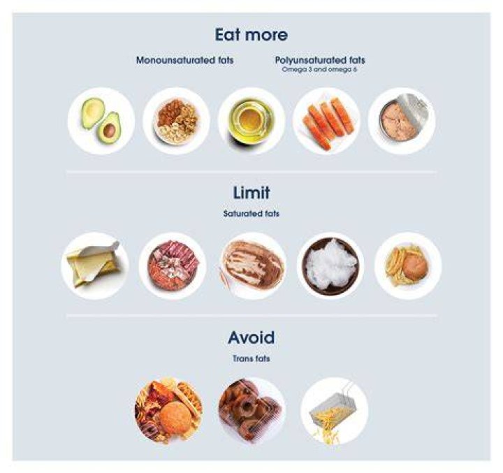 what are two common uses of fats in the bodies of animals