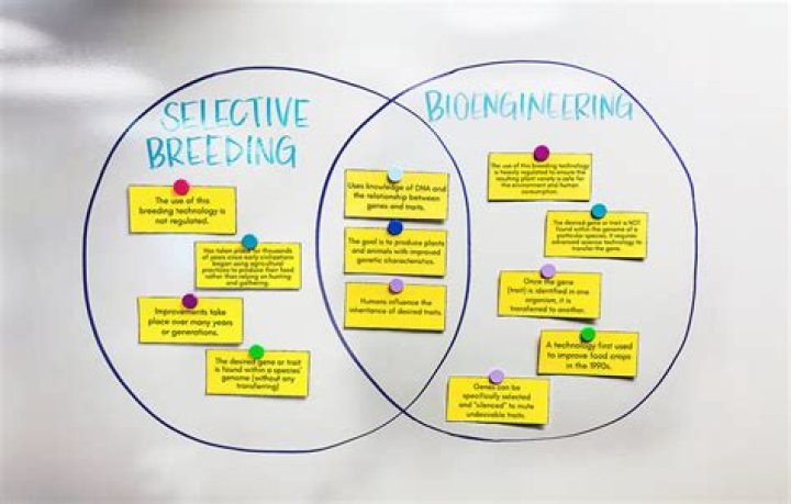 what are two types of selective breeding and how do they compare?