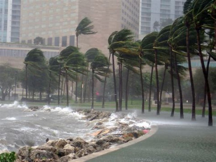 what are winds that bring heavy rainfall