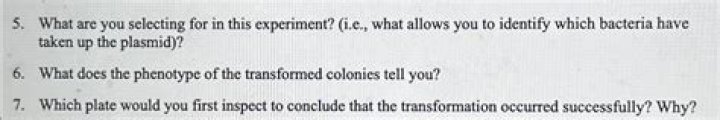 what are you selecting for in this experiment