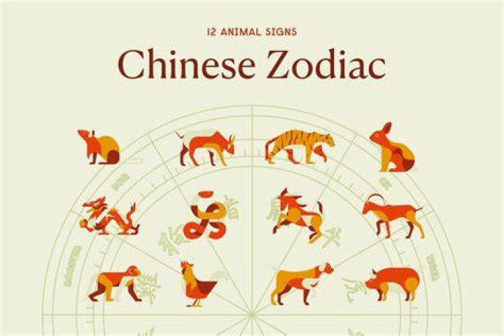 what basic chinese elements are displayed in the image above?