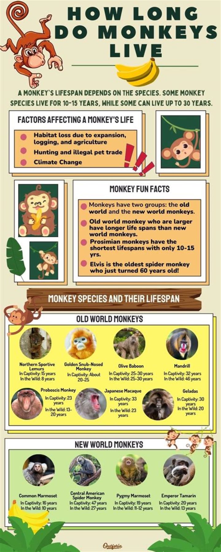 what biome do monkeys live in
