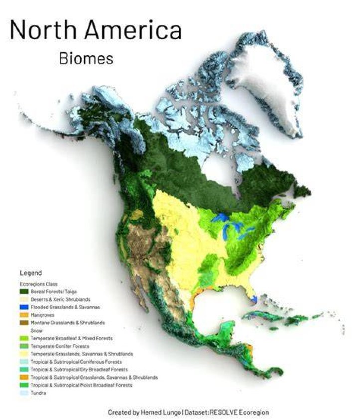 what biome in north america has the highest biodiversity