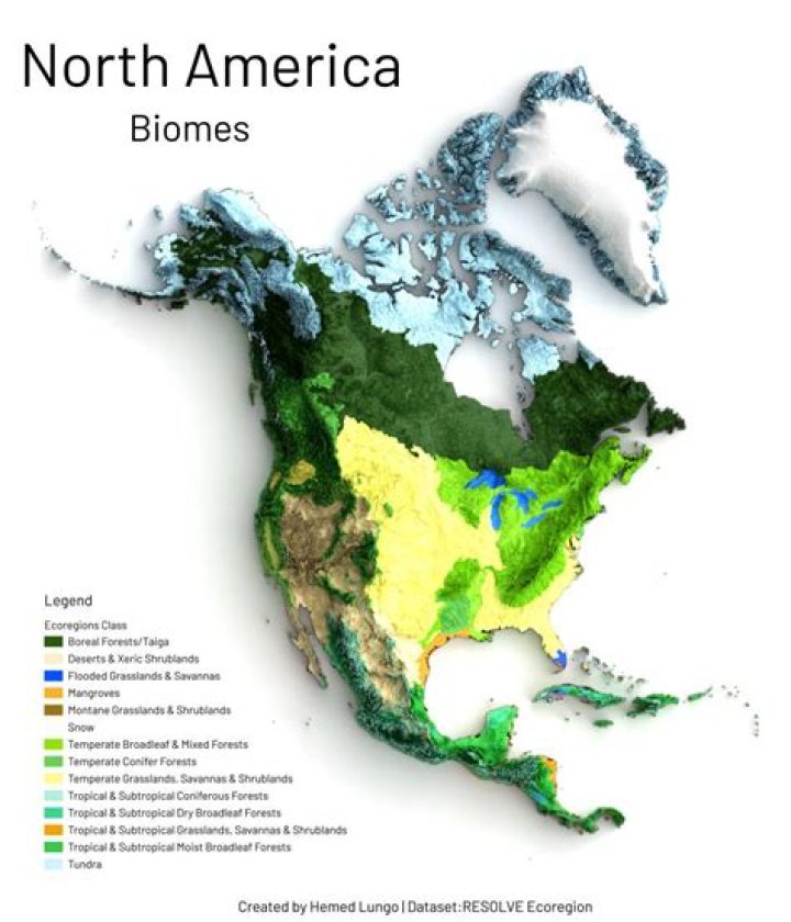 what biome is the united states