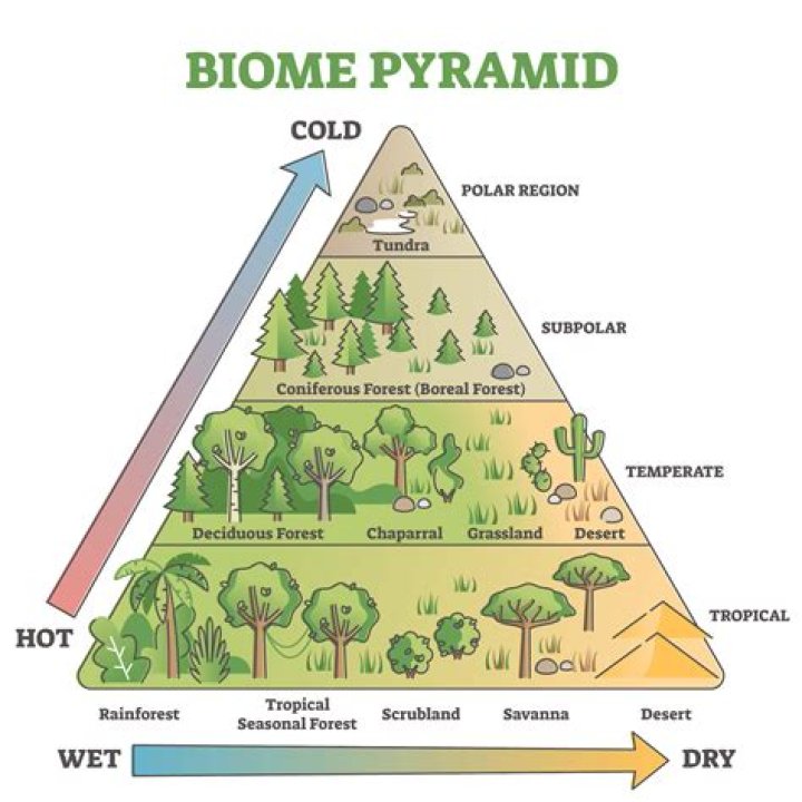 what biome supports the least amount of life