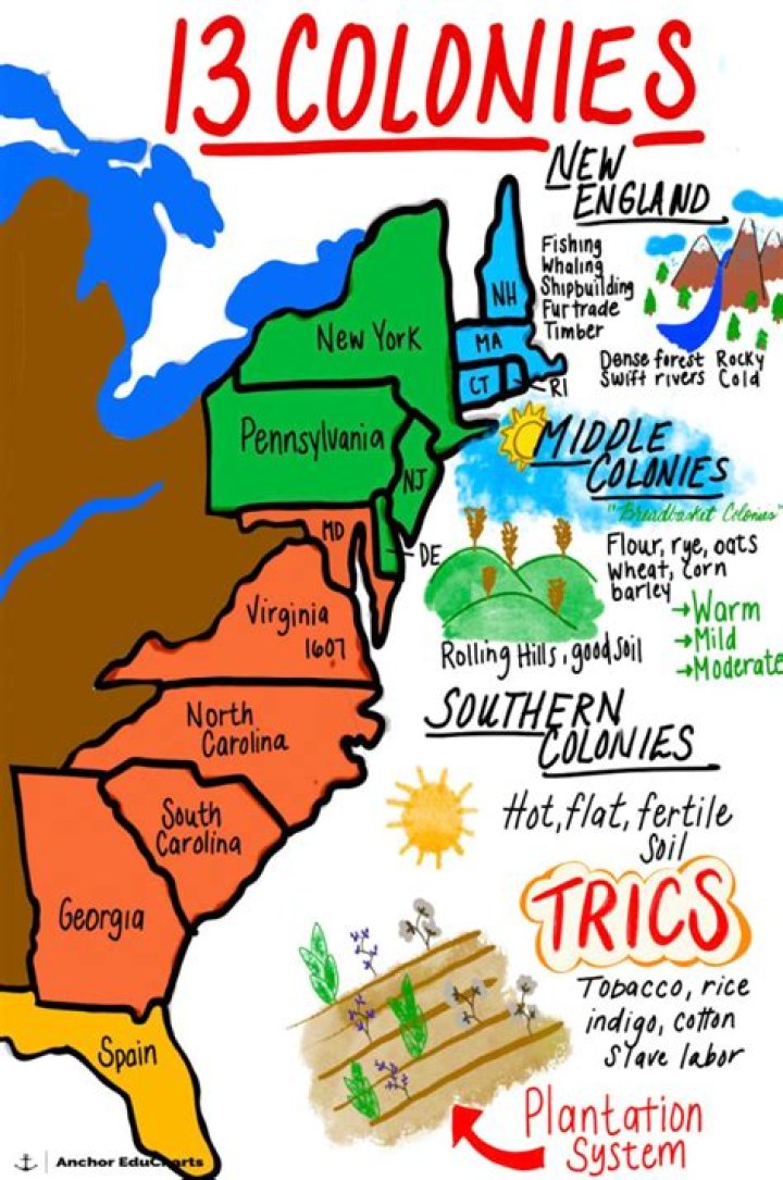 what cash crops were grown in the southern colonies