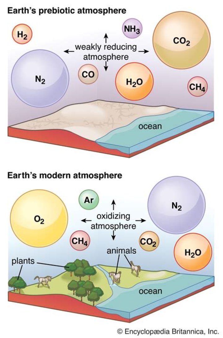 what changes were necessary in earth’s atmosphere to allow complex organisms to evolve?