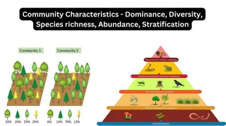 what characteristic define a state