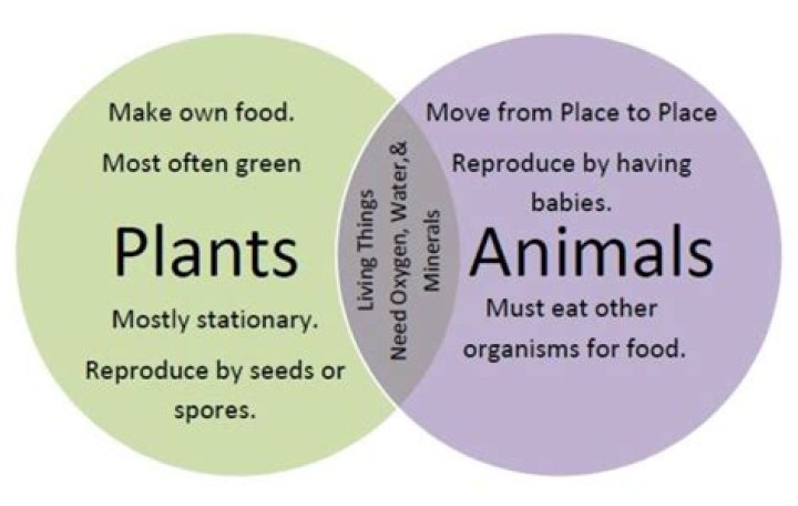what characteristics distinguish plants from animals