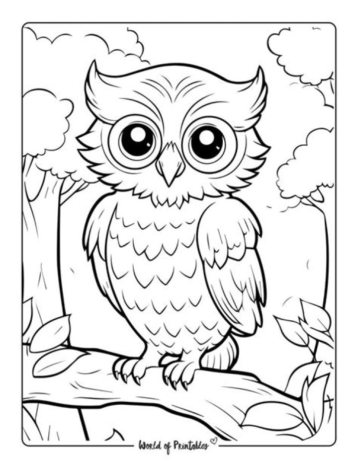 what color are owls - Lisbd-net.com