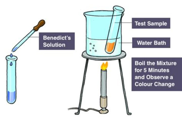 what color changes did you observe when you added benedict's solution to water and heated it?