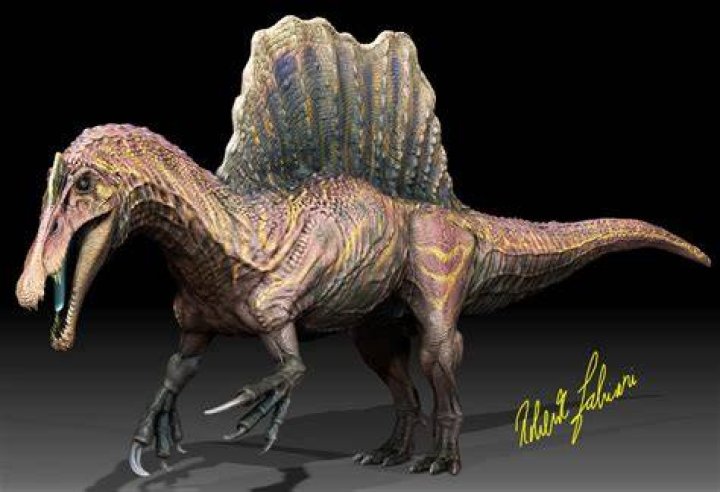 what color is a spinosaurus