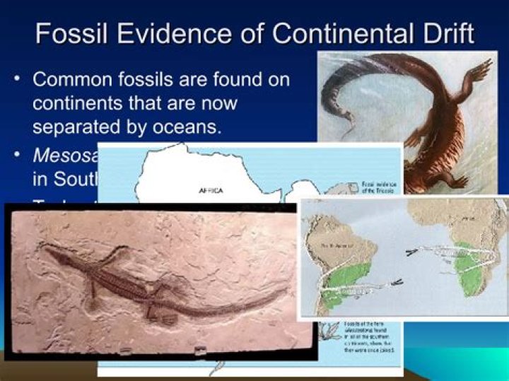 what could explain the distribution of mesosaurus fossils