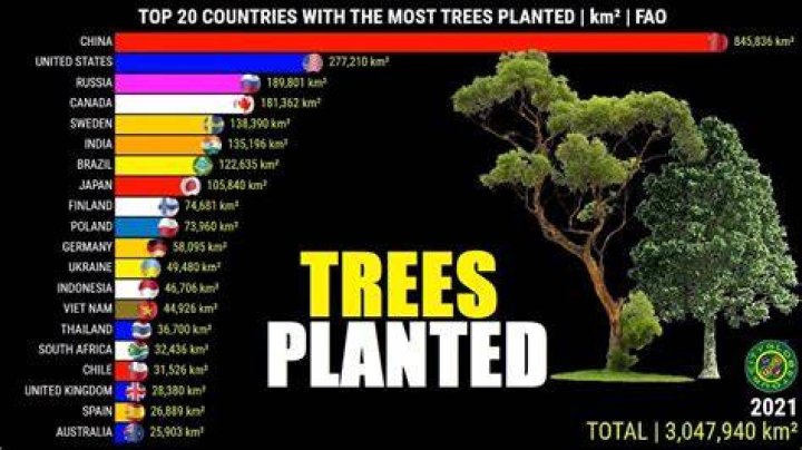 what country has the most trees