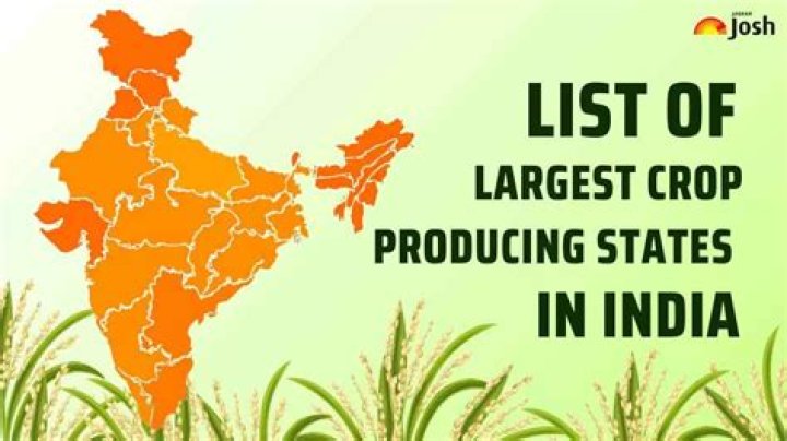 what crop is grown in all 50 states
