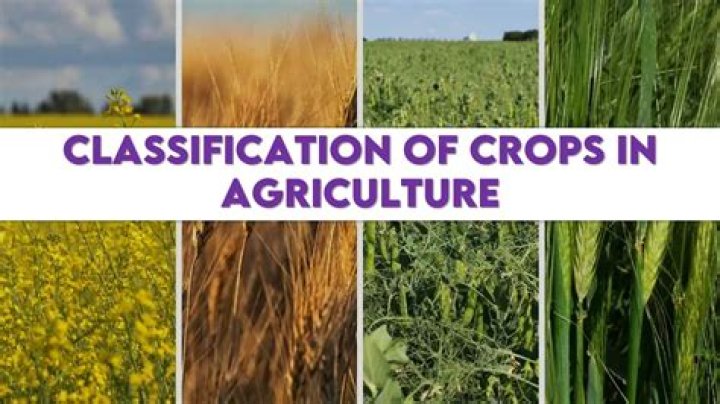 what crops are grown in alaska