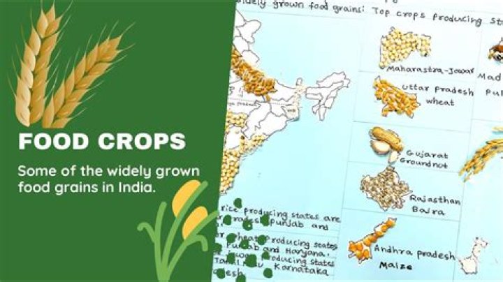 what crops are grown near me