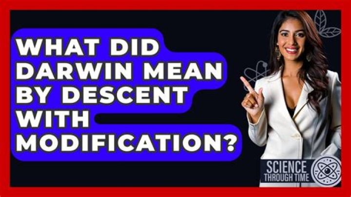 what did darwin mean by descent with modification