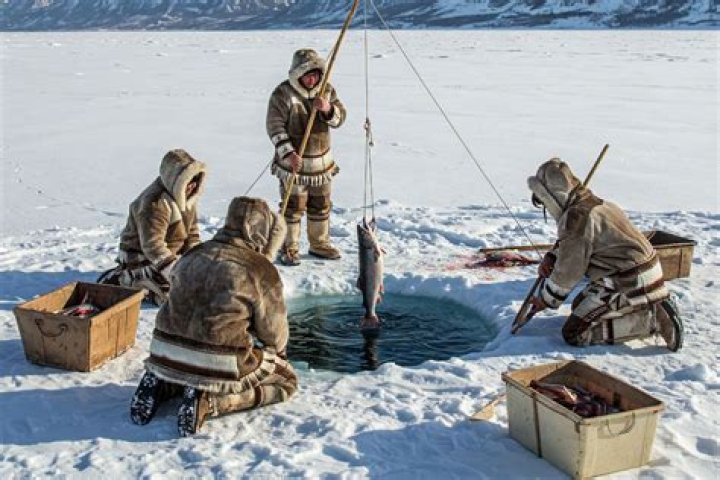 what did eskimos eat - Lisbd-net.com