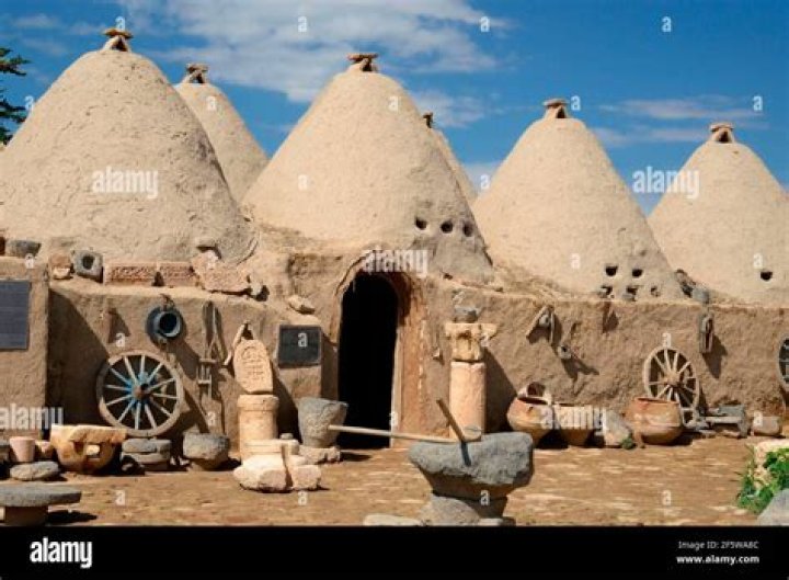 what did mesopotamians build their houses out of?