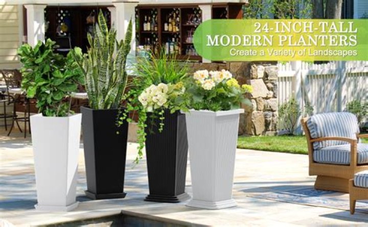 what did most rich southern planters do with their wealth
