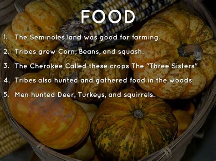 what did the seminole tribe eat