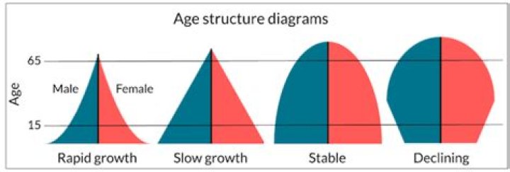 what do age structure diagrams graph