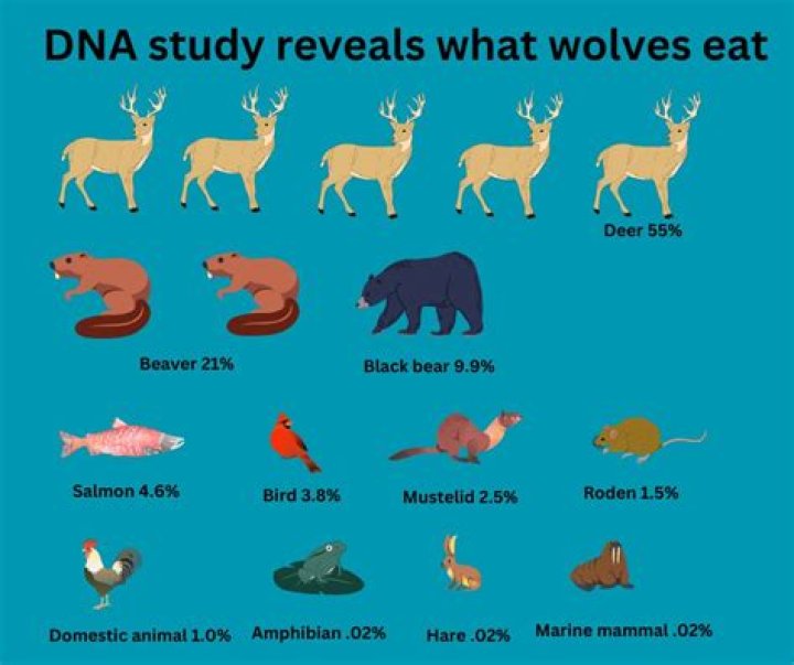 what do dire wolves eat