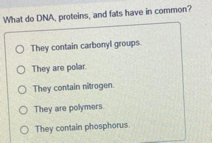 what do dna proteins and fats have in common